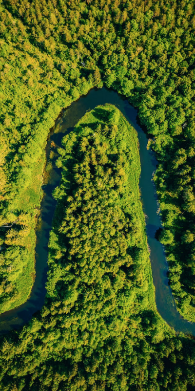 estrategias-para-empresas-y-negocios-001 estrategias-para-empresas-y-negocios-001